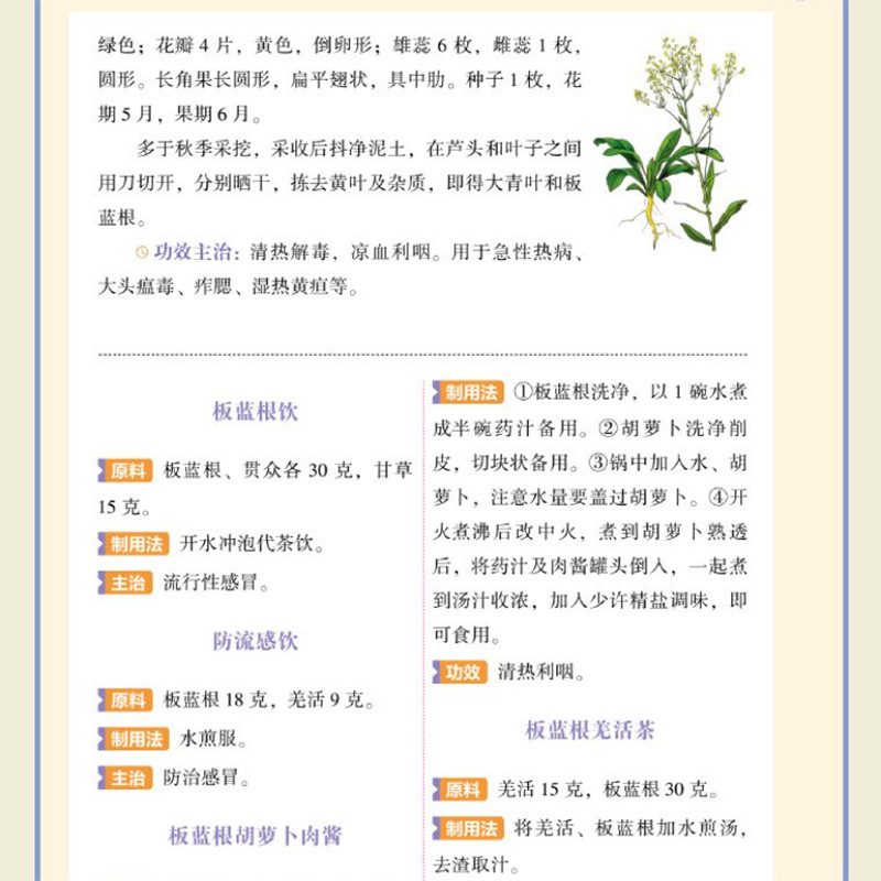 Single Herb TCM Nourishment Qu - Herbal Wellness Tonic ulasan dan harga
